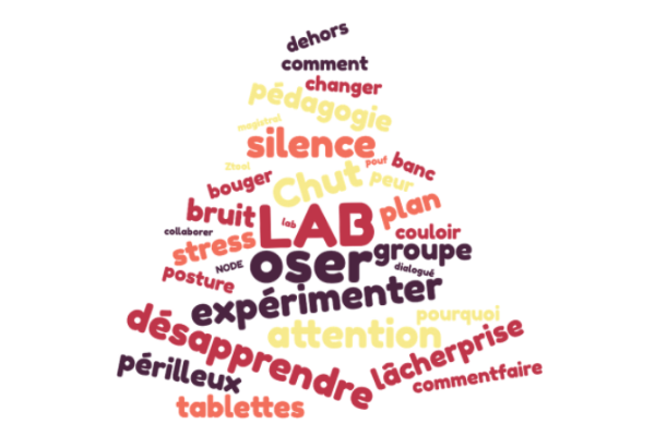 nuage de mots sur la salle lab
