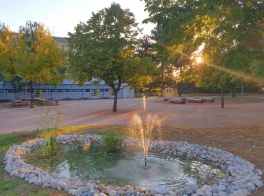 photo de la terrasse extérieure du lycée Lamarque composé de la mare pédagogique et de l'amphithéâtre